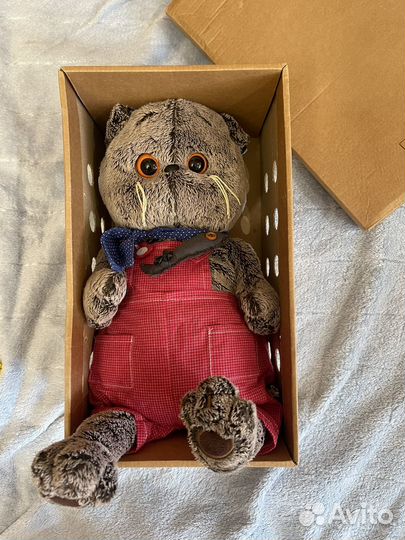 Кот басик basik