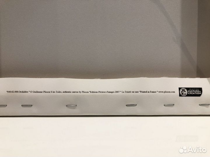 Постер Orchid philip plisson