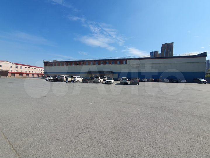 Торговля/чистое пр-во/склад 570 м²