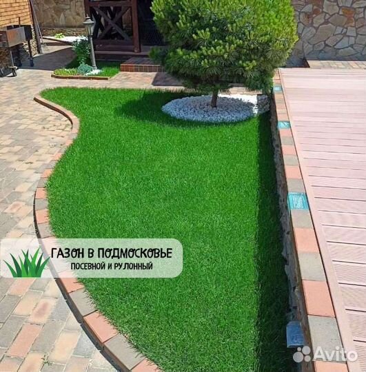 Рулонный газон