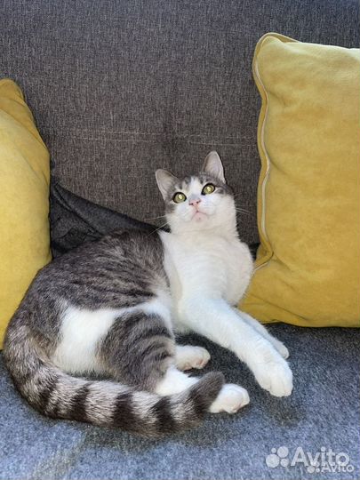 Дуняша-няша ждет свою бабушку