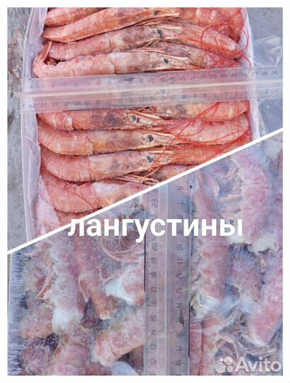 С/м морепродукты (креветки, мидии, кальмар)