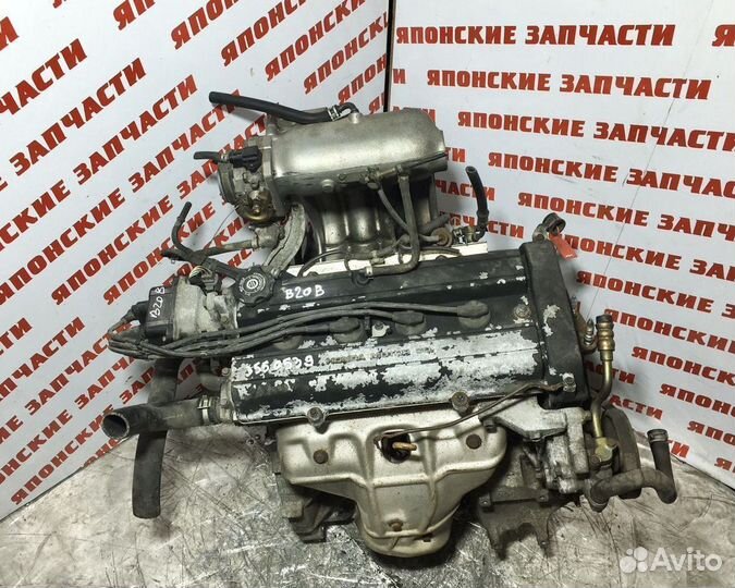 Двигатель Honda Stepwgn RF1 B20B