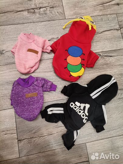 Одежда для маленькой собаки