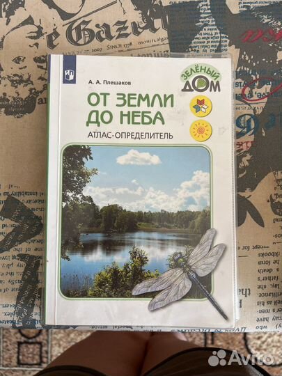 Книги для школьников