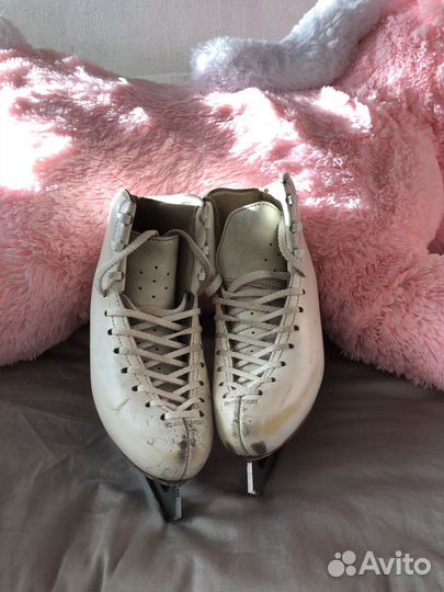 Коньки фигурные edea overture 195