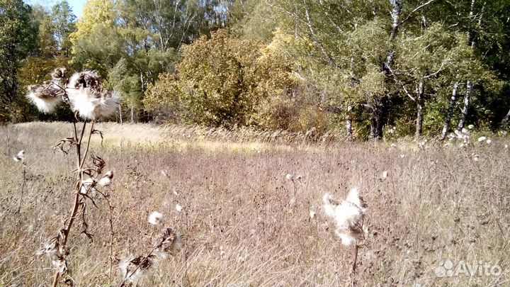 Ищу инвестора Создание бизнеса в сфере Экотуризма