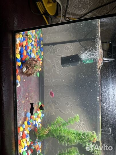 Аквариум с рыбками