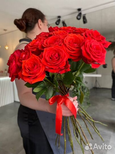 Роза нина голландия