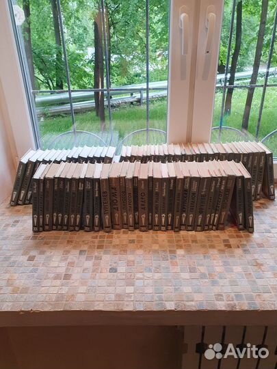 Жизнь замечательных людей, жзл