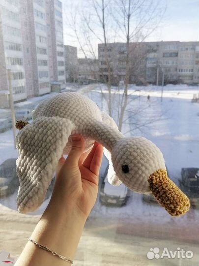 Гусь-обнимусь