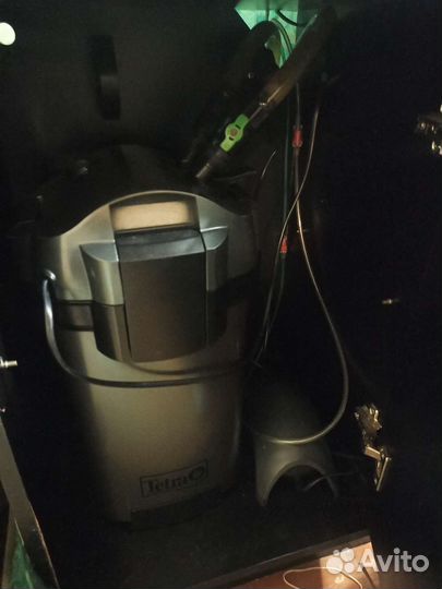 Аквариум со всем содержимым