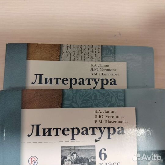 Учебник. Литература 6 класс в 2х частях