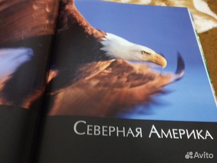 Познавательна книга для детей 5 лет