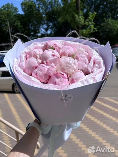 11 пионов (букет, композиция)