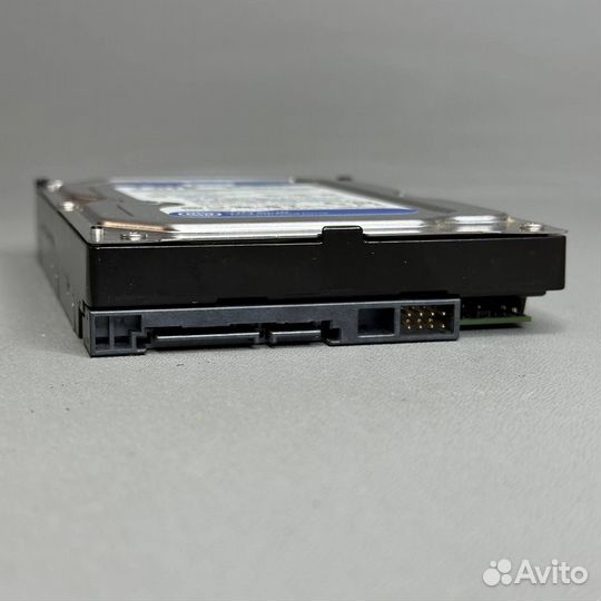 Жесткий диск Western Digital WD Blue 1 тб WD10ezex