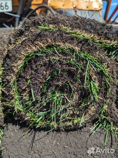 Спортивный газон. Футбольный газон