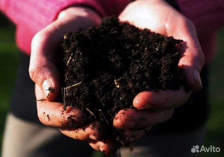Грунт растительный