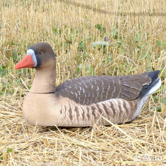 Чучела гусей для охоты