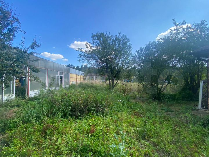 Участок 5,6 сот. (СНТ, ДНП)