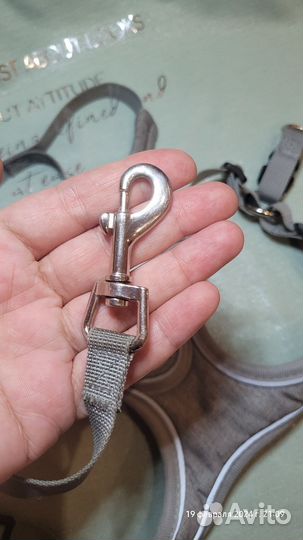 Шлейка для собаки с поводком 1,5 м, размер S