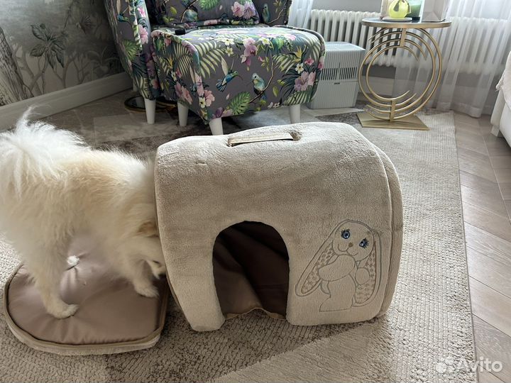 Домик для кошки и собаки