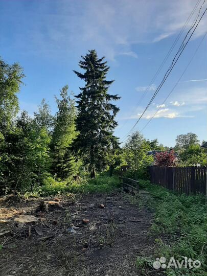 Удаление опасных деревьев спил веток