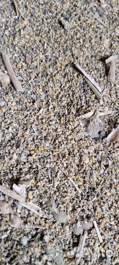 Соевые отходы сои