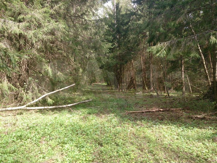 Участок 5000 га (СНТ, ДНП)