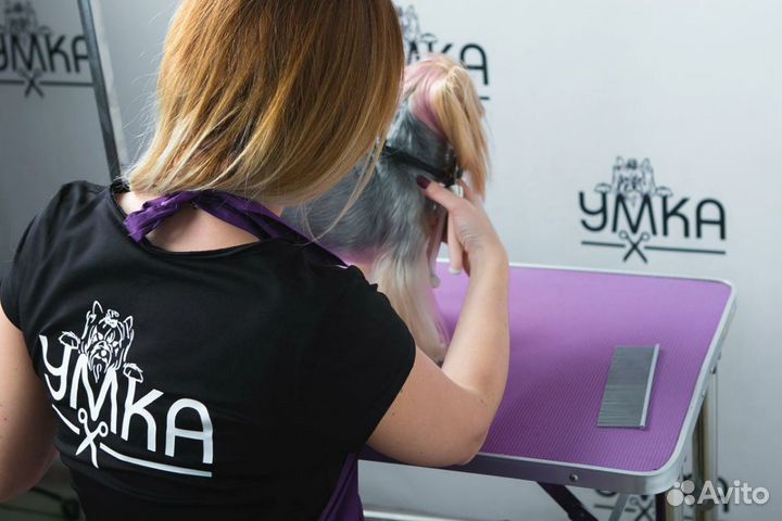 Обучение стрижке собак, курс груминга