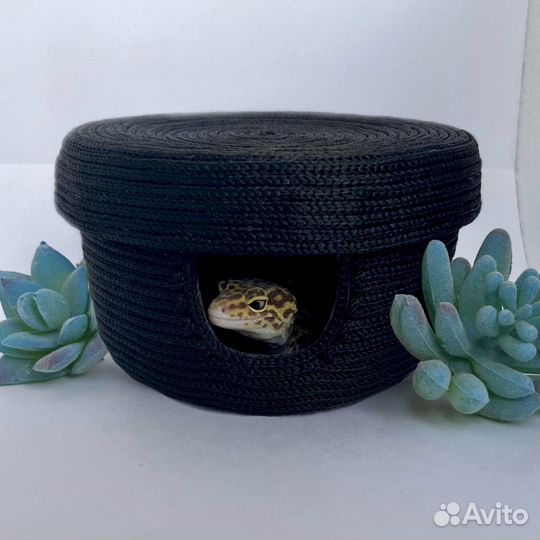 Влажная камера для рептилий