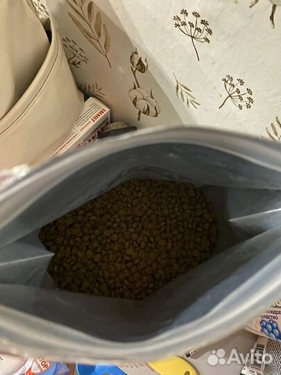 Кошачий сухой корм