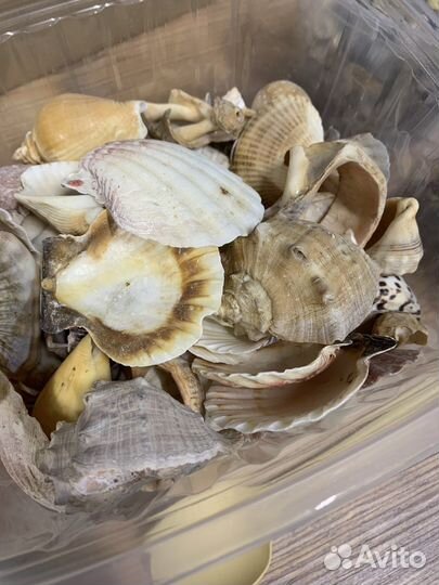 Набор для создания флорариума