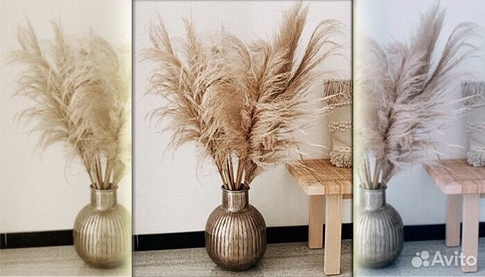 Пампасная трава для декора