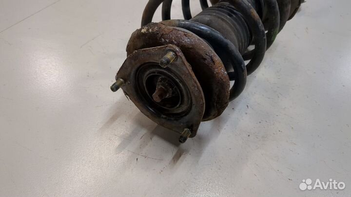 Амортизатор подвески Nissan Almera N16, 2004