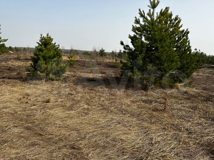 Участок 10 сот. (ИЖС)