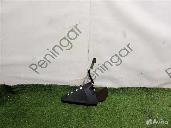 Динамик передний правый Volkswagen Tiguan 5N CAW