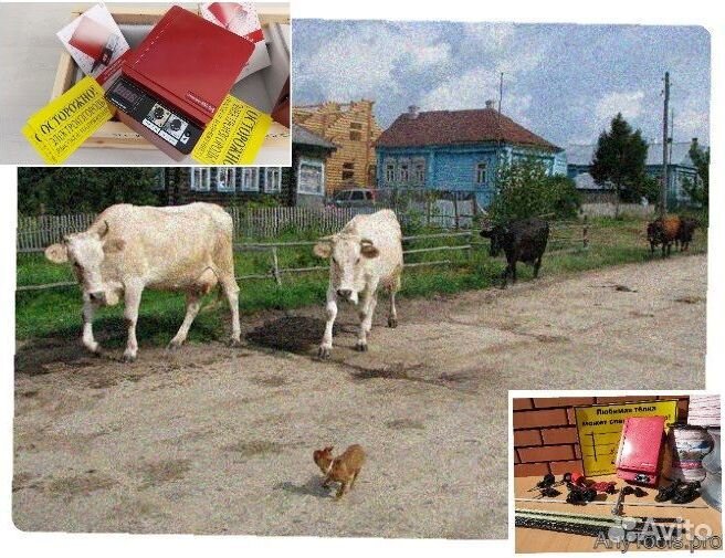 Электропастух