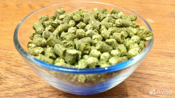 Хмель для варки пива