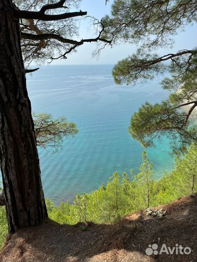 Отдых на черном море