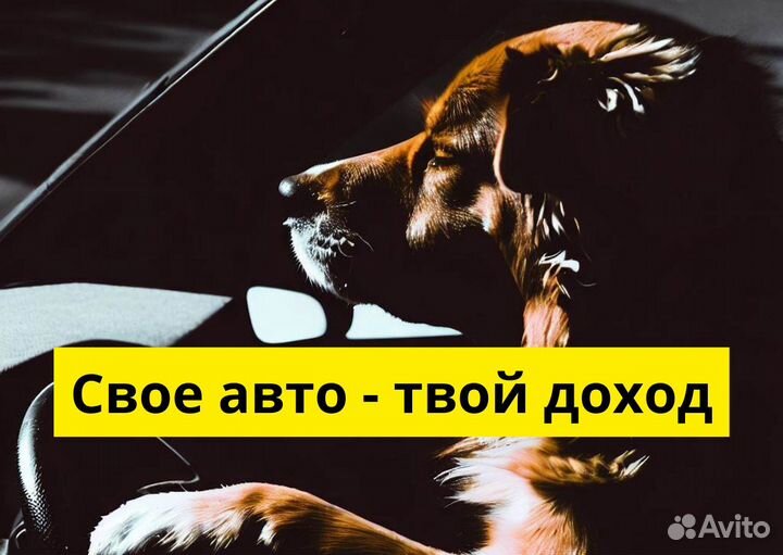Водитель Яндекс.Такси работа
