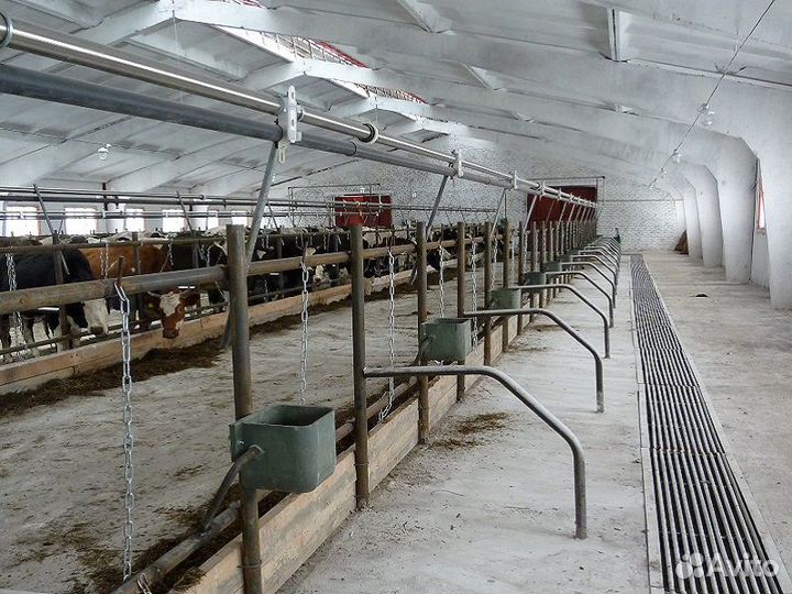 Стойловое оборудование с системой поения, доения