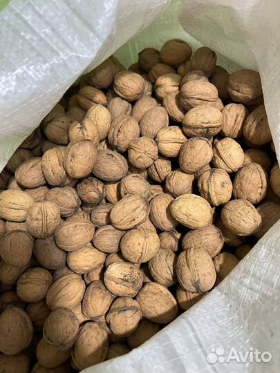 Грецкий орех