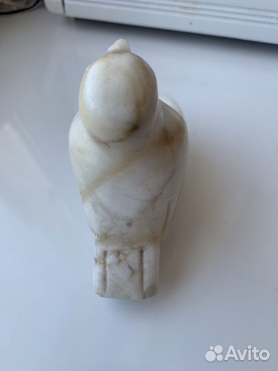 Голуби мраморные