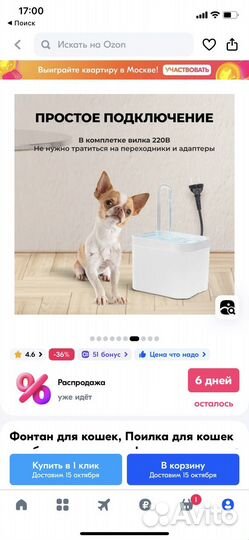Фонтан поилка для кошек