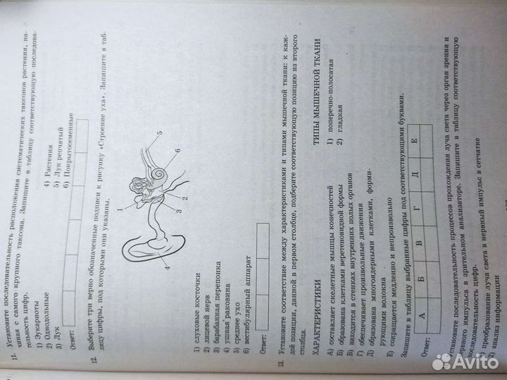 Биология егэ