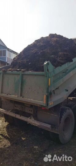 Перегной из под шампиньонов