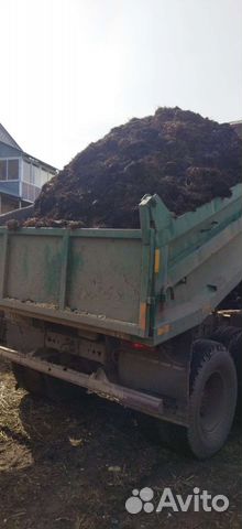 Перегной из под шампиньонов