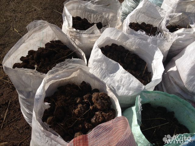 Удобрение для огорода навоз козий