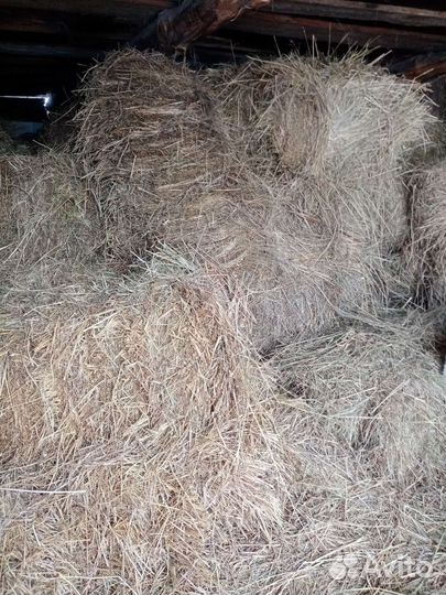 Сено в тюках